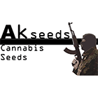 najlepsze genetyki ak od producenta akseeds