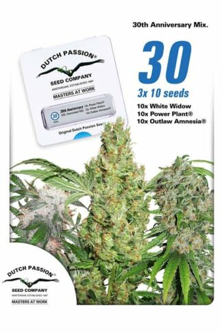 30th Anniversary Mix Feminizowane 30szt - Dutch Passion, Nasiona Marihuany, Konopi, Cannabis