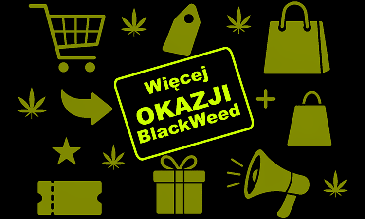 więcej okazji na blackweed, nasiona w super cenach