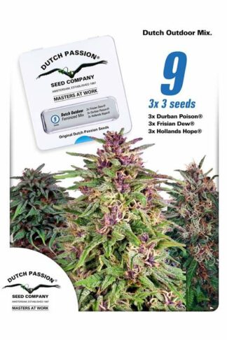 Dutch Outdoor Mix Feminizowane 9szt - Dutch Passion, Nasiona Marihuany, Konopi, Cannabis