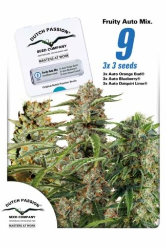 Fruity Autoflower Mix Feminizowane 9szt - Dutch Passion, Nasiona Marihuany, Konopi, Cannabis