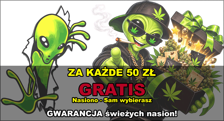 wybierz gratis nasiona marihuany indoor i outdoor oraz automatic xxl