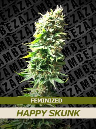 Happy Skunk Feminizowane, Nasiona Marihuany, Konopi, Cannabis