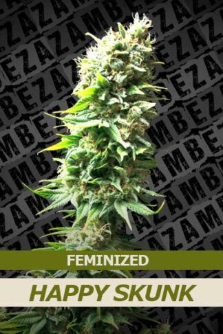 Happy Skunk Feminizowane, Nasiona Marihuany, Konopi, Cannabis