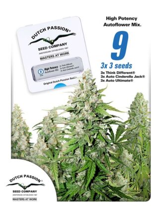 High Potency Autoflower Mix Feminizowane 9szt - Dutch Passion, Nasiona Marihuany, Konopi, Cannabis