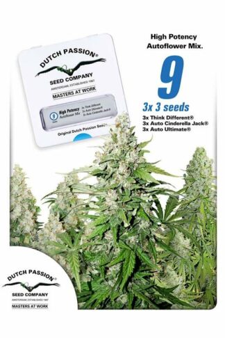 High Potency Autoflower Mix Feminizowane 9szt - Dutch Passion, Nasiona Marihuany, Konopi, Cannabis