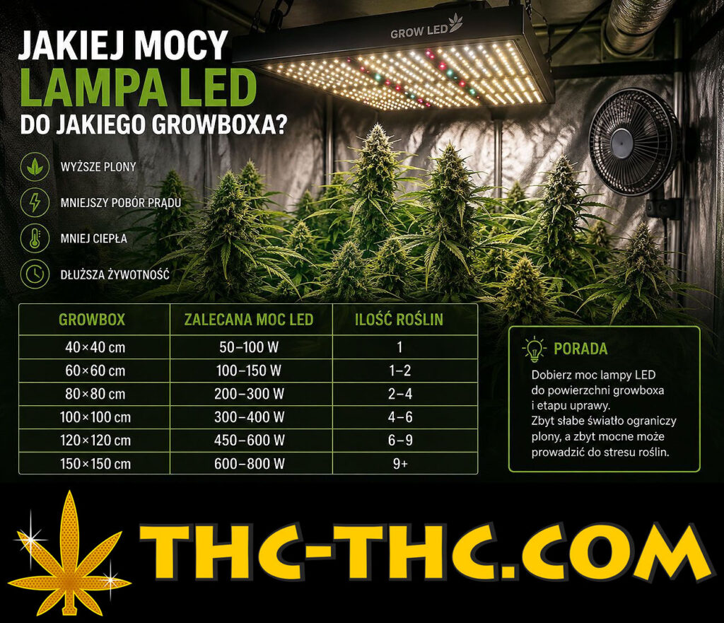tabela mocy lamp led do wymiarów growboxa