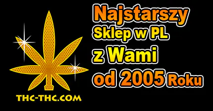 THC-THC od 2005r, świeże nasiona marihuany.