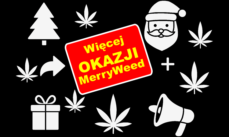 więcej okazji na merryweed, nasiona w super cenach