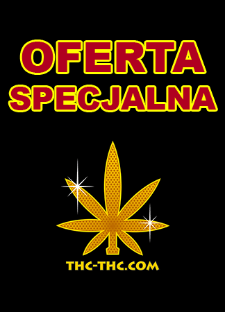 OFERTA SPECJALNA 1 - Blue Cookies Automatic Feminizowane - Paczka 3 Seeds