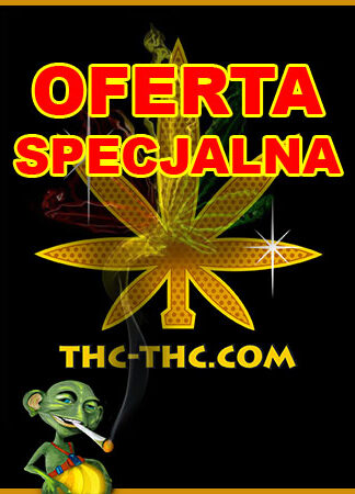 OFERTA SPECJALNA 11 - Auto Daiquiri Lime Feminizowane - Paczka 7 Seeds
