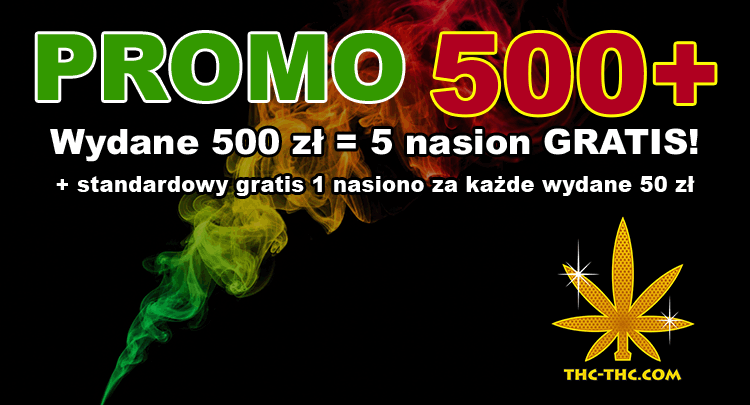 kolejne nasiona gratis to promocja 500 plus do zamówień od 500zł